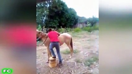 Best FAILS & Funny Videos ★ February 2016 Compilation ★ FailArmy (FULL HD)