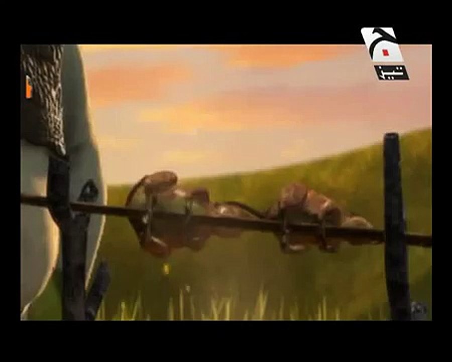 Valantines Day Clip 5 New Tezabi Totay