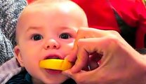 Baby Eats Lemon - A Babies Eating Lemons For The First Time Compilation 2016 __ NEW HD