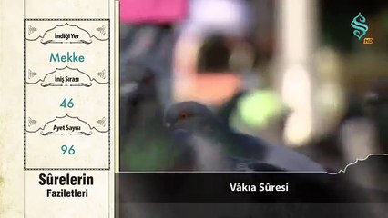 Surelerin Fazileti - Vâkıa Suresi