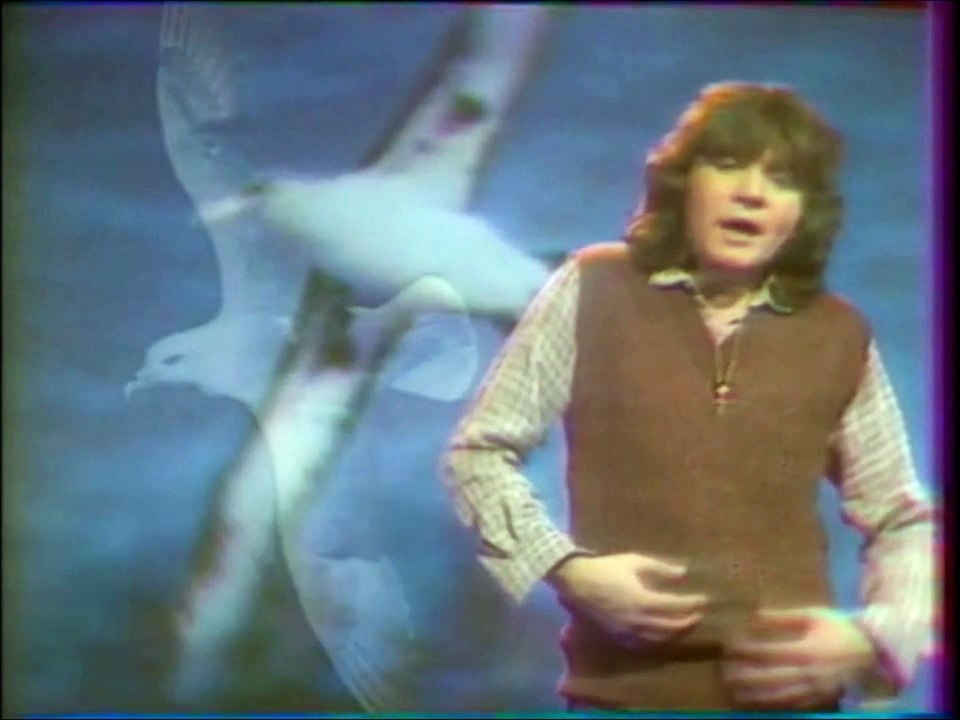 Daniel Balavoine LES OISEAUX (avec Joana montage) Daniel Michel Berger Balavoine. facebook