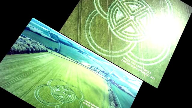 Рисунки на полях. Дорсет. Англия. 30 мая 2015г