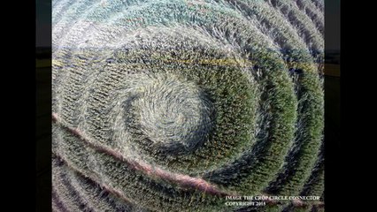 Рисунок на поле. Англия. 9 июня 2015г