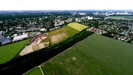 Рисунок на поле. Германия. 8 июня 2015