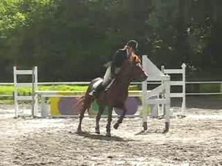 Enora et kosk CSO CR CCE D1c Langonnet