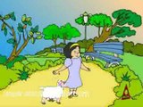Marry Had A Little Lamb - English Nursery Rhymes - Cartoon/Animated Rhymes For Kids