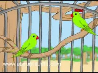 Koondukili - Chellame Chellam - Pre School - Animated Rhymes For Kids