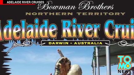 Cocodrilo gigante atrapó a un tiburón en un rio de Australia