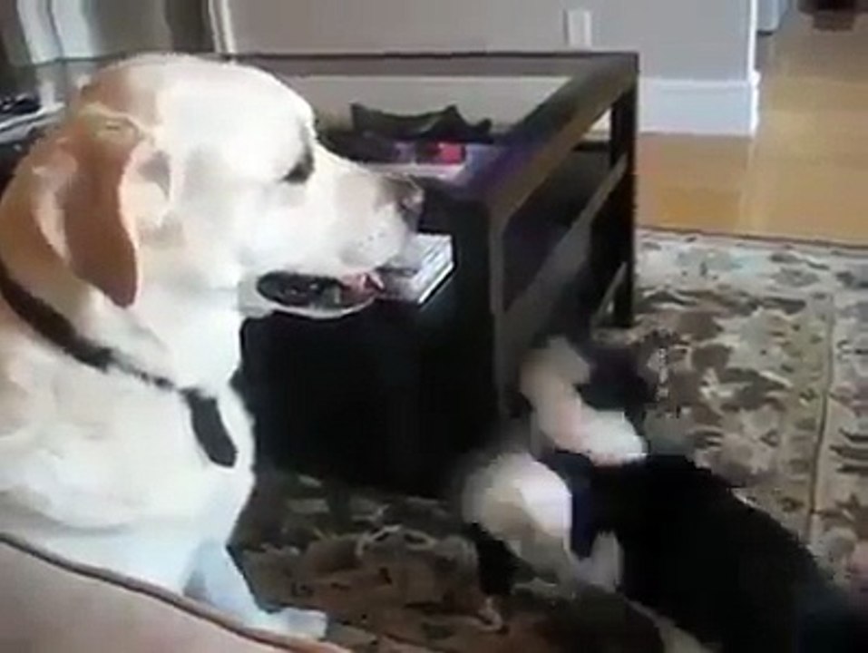 حكَرات عليه