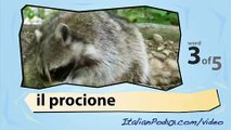 Learn Italian with Video - Forest Animals