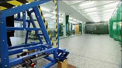 Cú sút đá phạt thành bàn đỉnh cao của Roberto Carlos