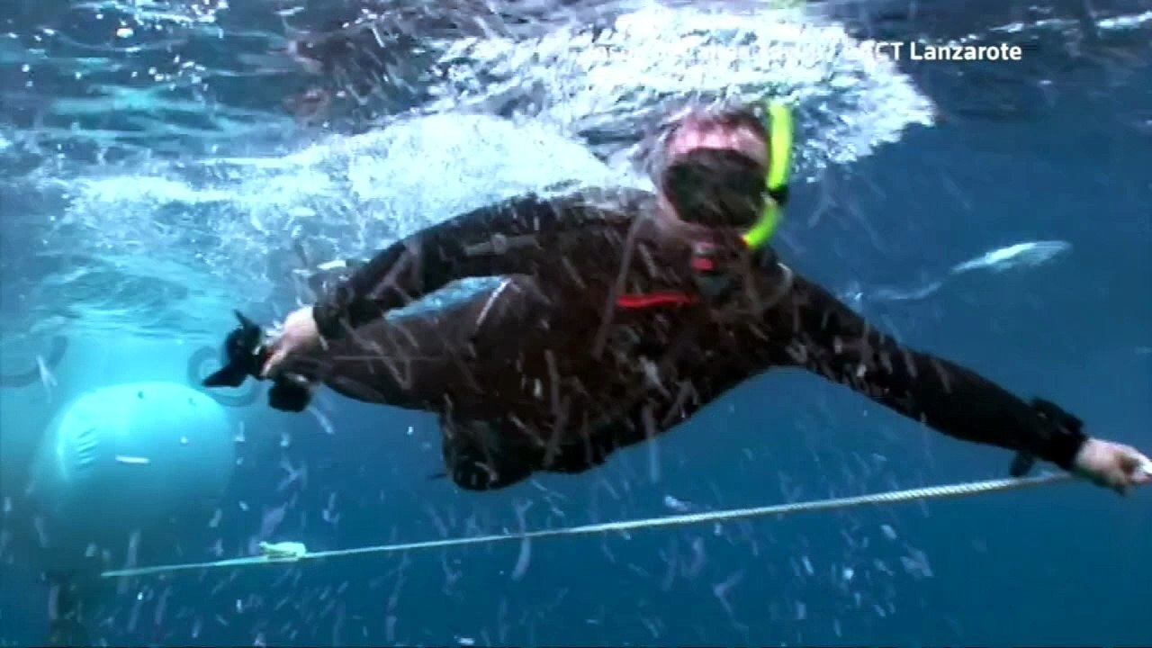 Sculptor creates amazing underwater sculptures