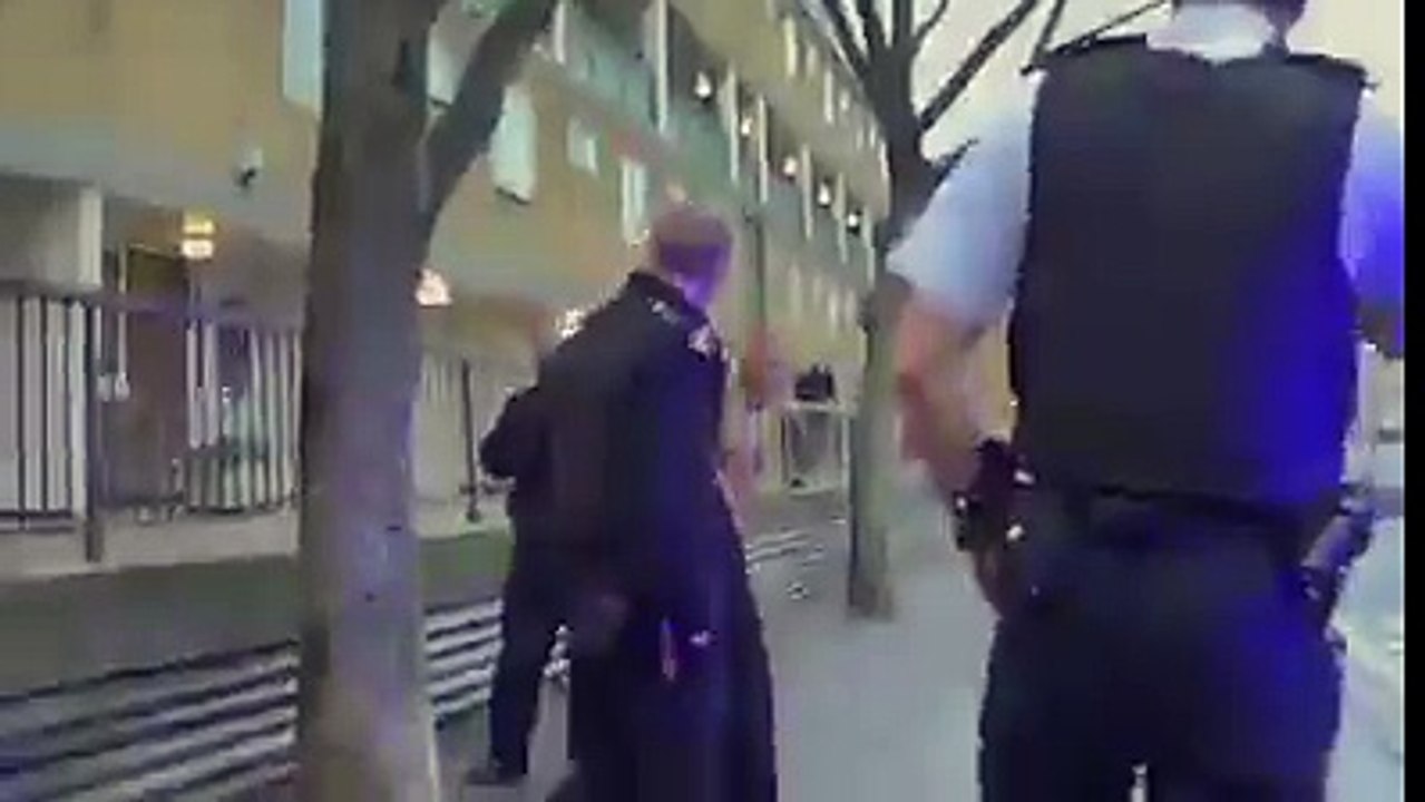 قمة الغرابة