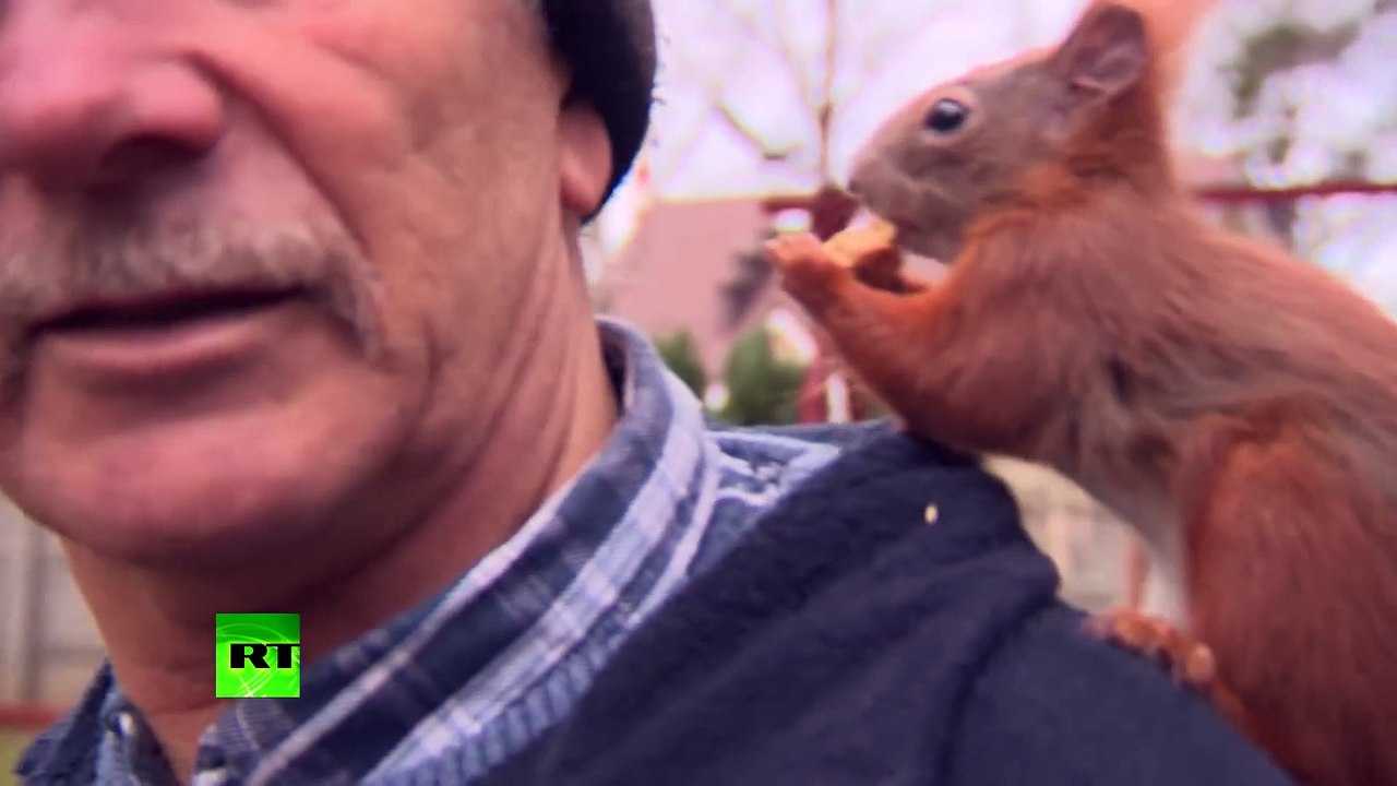 Un homme et un écureuil sont inséparables... Meilleurs amis