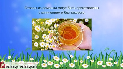 Ромашка для волос. ОСВЕТЛЕНИЕ волос ромашкой