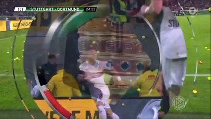 Болельщики дортмундской «Боруссии» закидали футбольное поле теннисными мячами