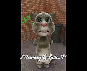 Mamay Ki Kuri Tom Cat New Amazing Prank Must Watch