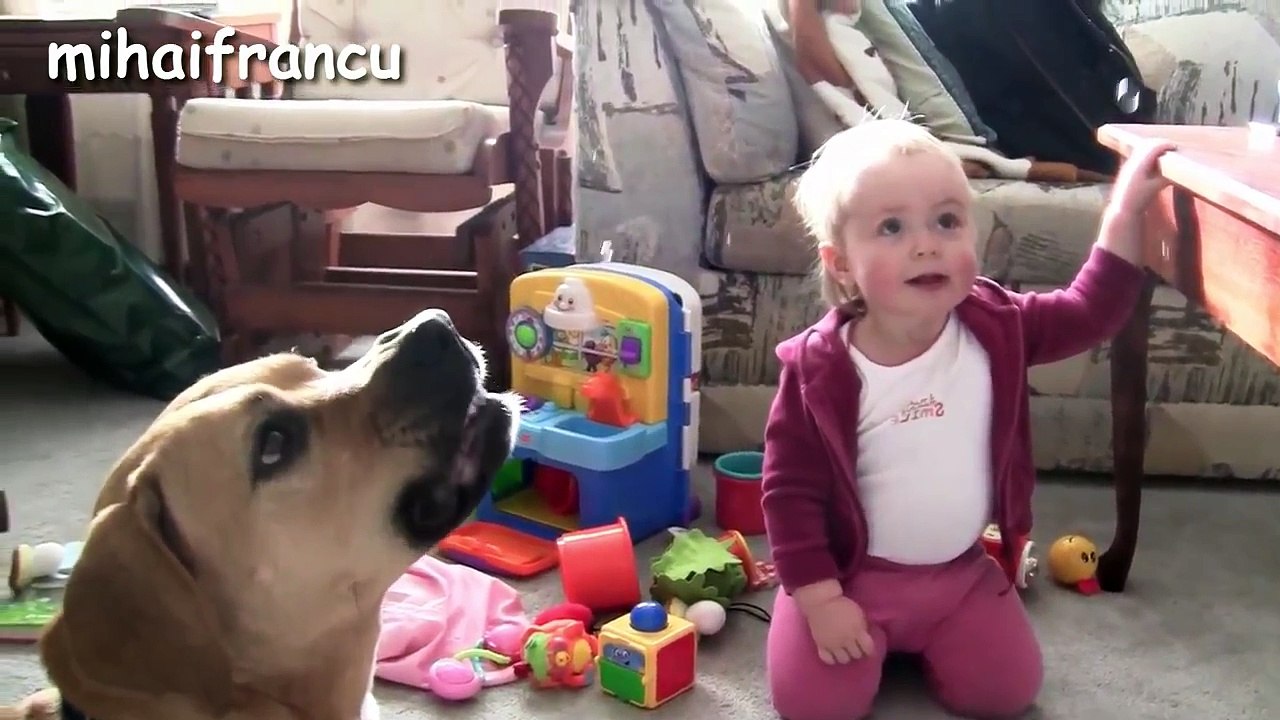 Babies Laughing Hysterically At Dogs Eating Bubbles Compilation    NEW HD