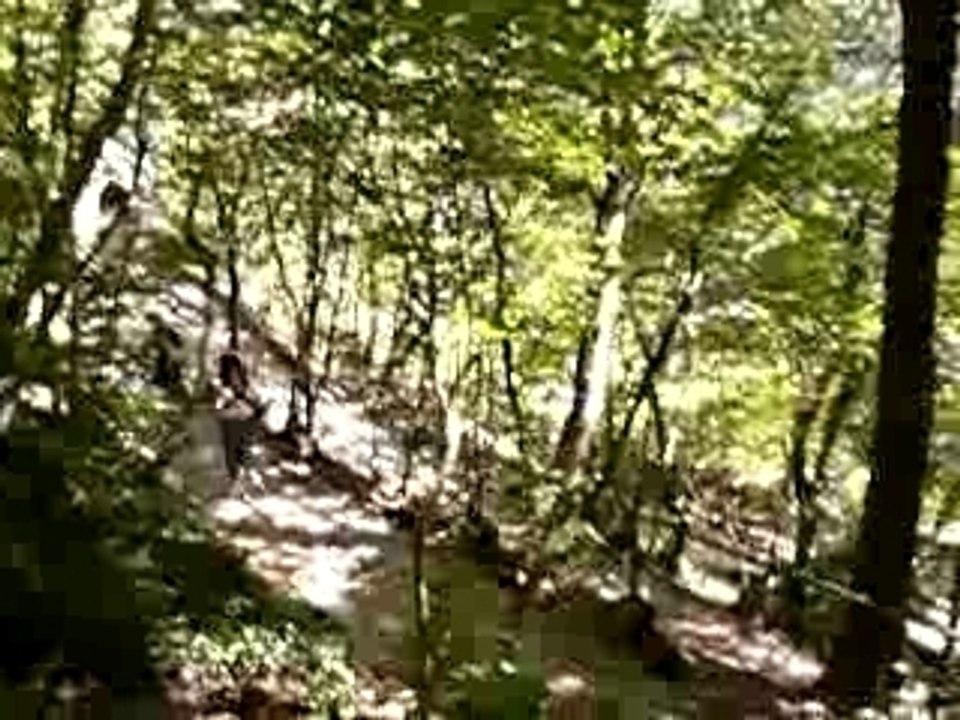 xavier le dunkerquois dans le sud