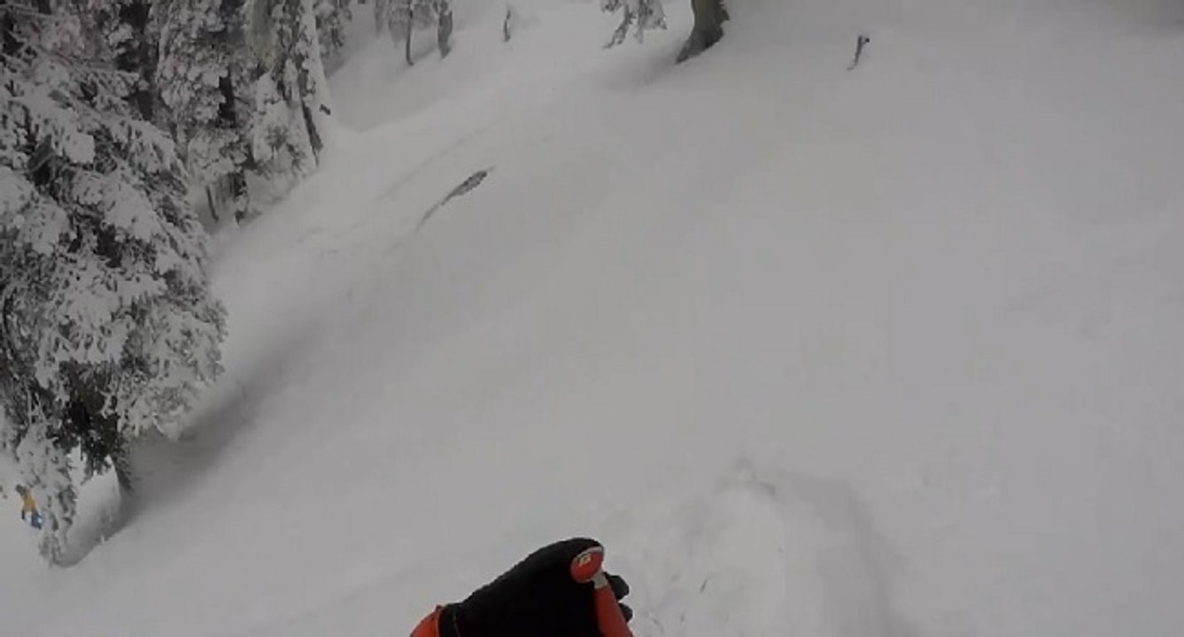 Rare : les images d'un léopard des neiges capturées dans une vidéo par des skieurs en Inde