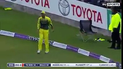 میکس ویل کا نا قابل یقین کیچ دیکھیں