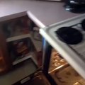 Kid throws dog in oven (@TylerMoney on Vine)
