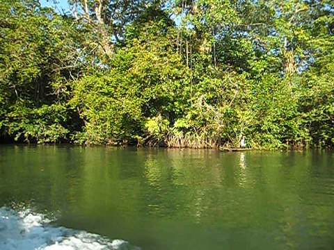 Navigation en lancha vers l'hôtel Perico (Rio Dulce, Izabal, Guatémala)