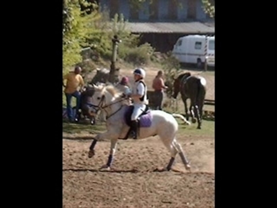 Lucky montage 2_0001