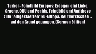 PDF Türkei - Feindbild Europas: Erdogan eint Linke Gruene CDU und Pegida. Feindbild und Antithese