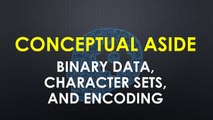 Learn and Understand NodeJS 046 - Conceptual Aside - Binary Data, Character Sets, and Encodings