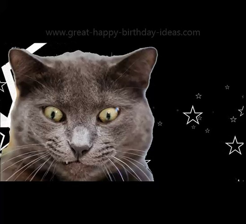 Mega Happy Birthday Ecard!