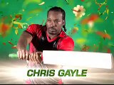 Chris Gayle Batting vs Qta Gladiator