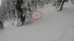 Des skieurs hors-piste tombent nez à nez avec un léopard des neiges