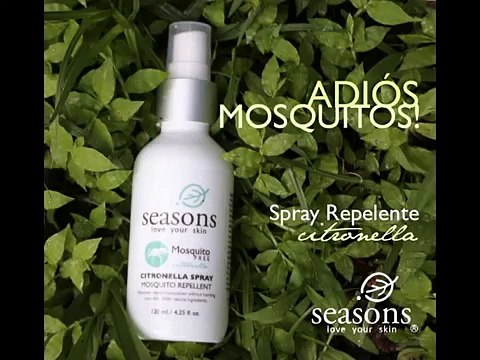 virus zika mexico, virus zika, zika virus, zika virus wikipedia, zika virus cdc, chikungunya, mosquito chikungunya, viru