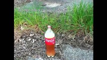 Science Experiments you can do with Coca-Cola. 7 Simple Life Hacks with Coke at Home