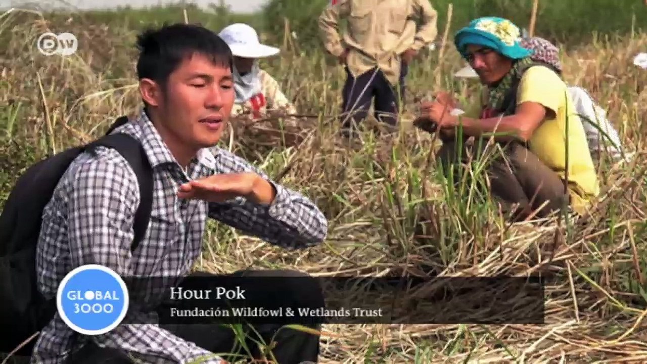 Biodiversidad en Camboya | Global 3000