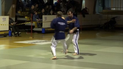 Extrait de la demonstration de Yoseikan Budo a Vevey