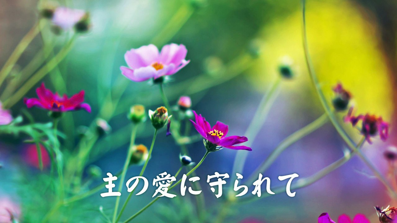 ♫　ひとたびは死にし身も　讃美歌532番　バイオリン演奏。