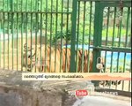 Public may adopt animals at Thrissur zoo|തൃശൂര്‍ മൃഗശാലയില്‍ മൃഗങ്ങളെ ദത്തെടുക്കാം
