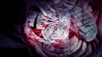 Fuck Pumpkin, I have a Watermelon!! - Special Halloween