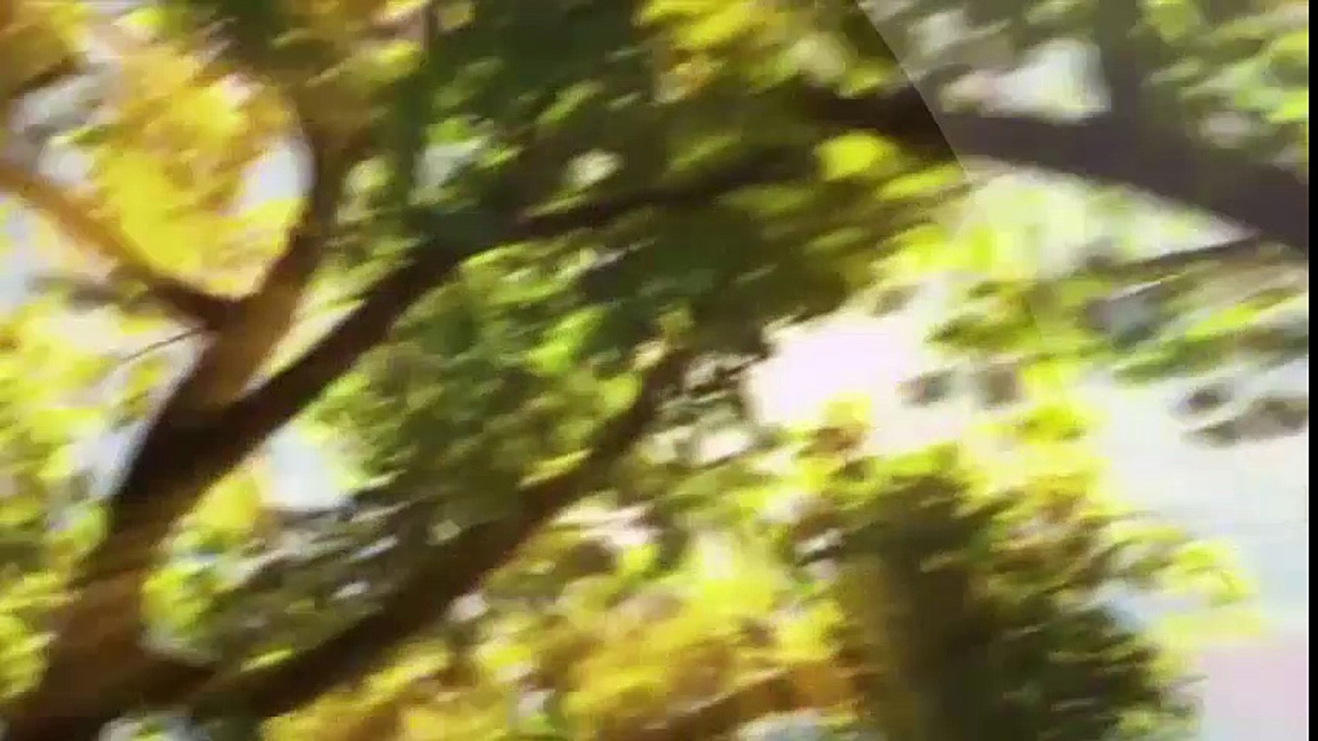 Toy Story - Disney Movies