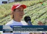 Venezuela: productoras plantean soluciones a distribución de alimentos