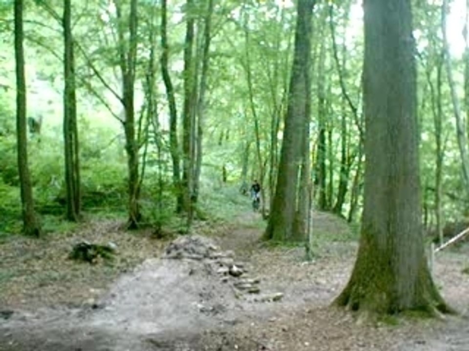 Chute