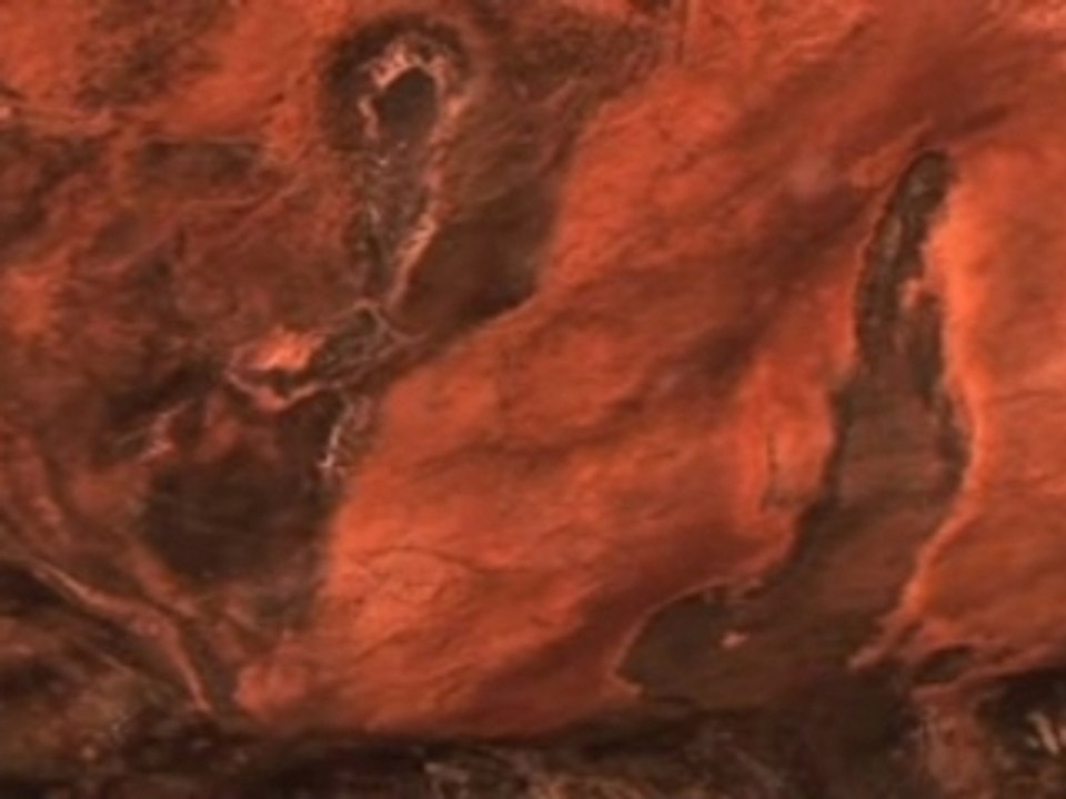 The Land Owns Us