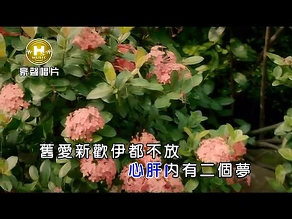 楊靜-成全
