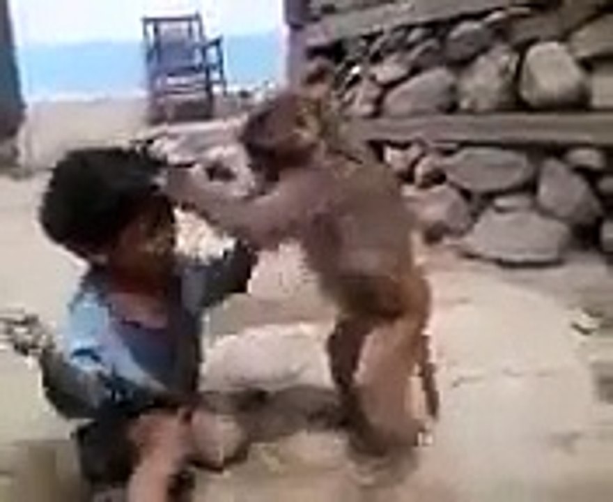 funny baby fight with monkey