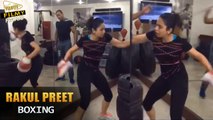 Actress Rakul Preet Practising Boxing Video - Filmy Focus