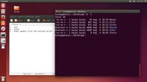 File Permissions on Linux