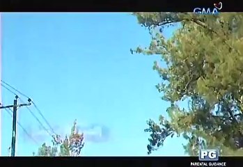 Princess in the Palace February 17 2016