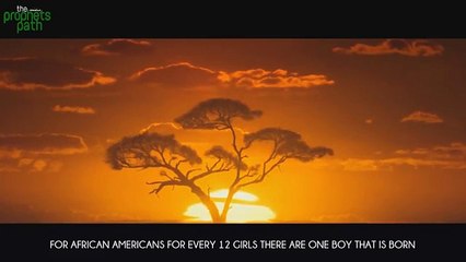 Why You Should Have 4 Wives